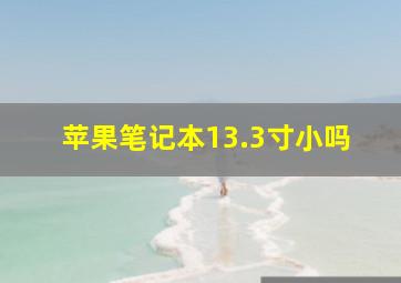 苹果笔记本13.3寸小吗