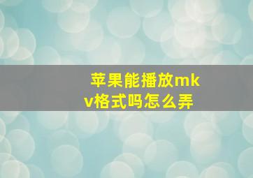 苹果能播放mkv格式吗怎么弄