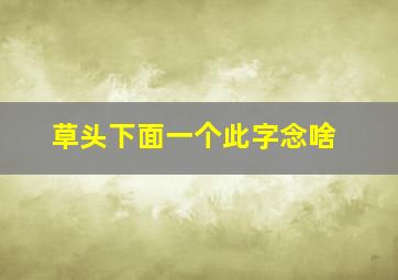 草头下面一个此字念啥