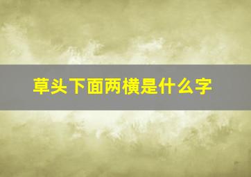 草头下面两横是什么字