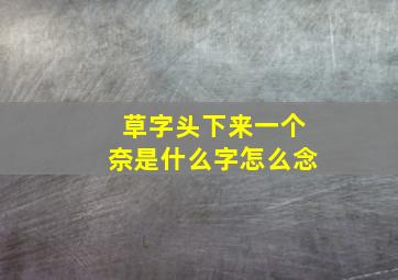 草字头下来一个奈是什么字怎么念