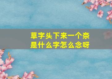 草字头下来一个奈是什么字怎么念呀