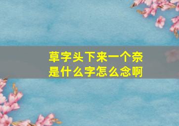 草字头下来一个奈是什么字怎么念啊