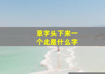 草字头下来一个此是什么字