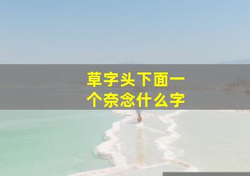 草字头下面一个奈念什么字