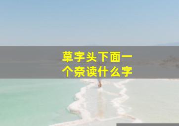 草字头下面一个奈读什么字