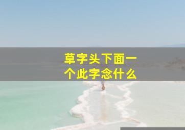 草字头下面一个此字念什么