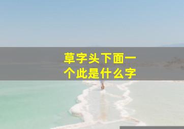 草字头下面一个此是什么字