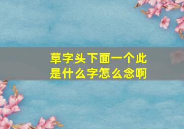 草字头下面一个此是什么字怎么念啊