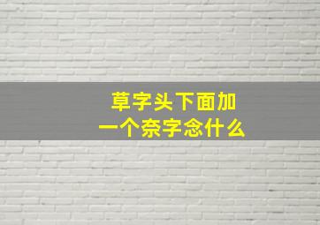 草字头下面加一个奈字念什么