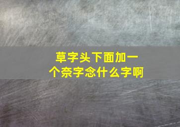 草字头下面加一个奈字念什么字啊