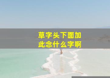 草字头下面加此念什么字啊