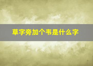 草字旁加个韦是什么字