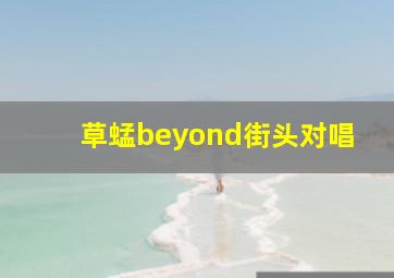 草蜢beyond街头对唱