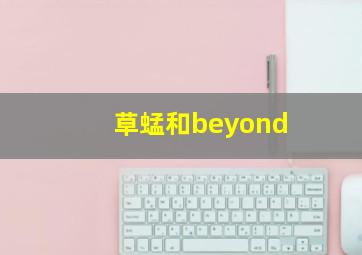 草蜢和beyond