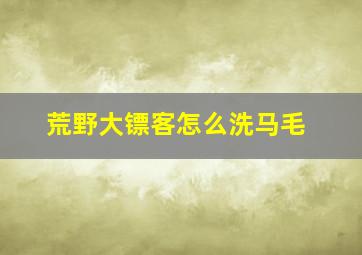 荒野大镖客怎么洗马毛