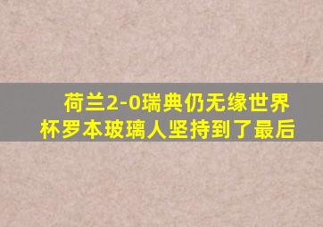 荷兰2-0瑞典仍无缘世界杯罗本玻璃人坚持到了最后