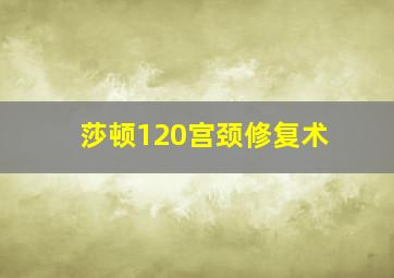 莎顿120宫颈修复术