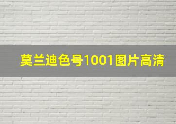 莫兰迪色号1001图片高清