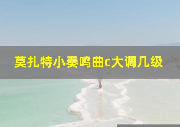 莫扎特小奏鸣曲c大调几级