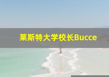 莱斯特大学校长Bucce