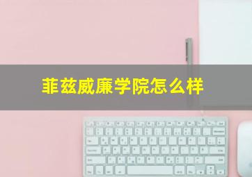 菲兹威廉学院怎么样