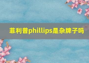 菲利普phillips是杂牌子吗