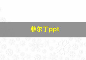 菲尔丁ppt