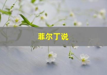 菲尔丁说