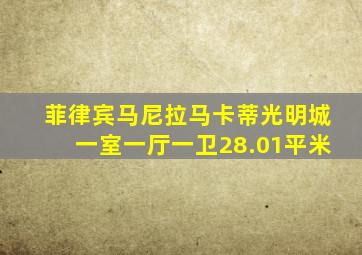 菲律宾马尼拉马卡蒂光明城一室一厅一卫28.01平米