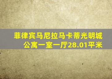 菲律宾马尼拉马卡蒂光明城公寓一室一厅28.01平米