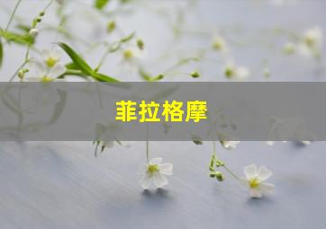 菲拉格摩