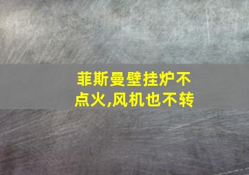 菲斯曼壁挂炉不点火,风机也不转