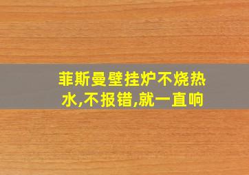 菲斯曼壁挂炉不烧热水,不报错,就一直响