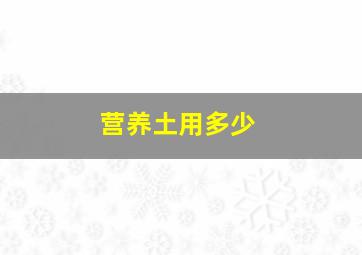 营养土用多少