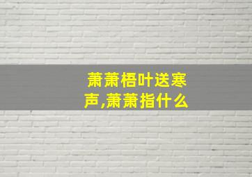 萧萧梧叶送寒声,萧萧指什么