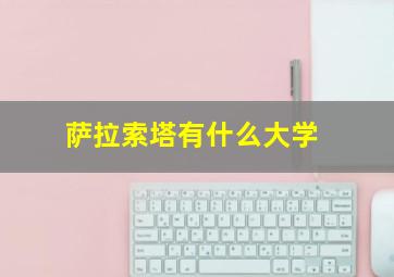 萨拉索塔有什么大学