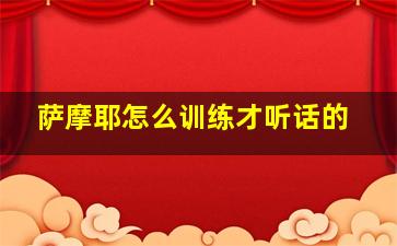 萨摩耶怎么训练才听话的