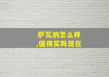 萨瓦纳怎么样,值得买吗现在