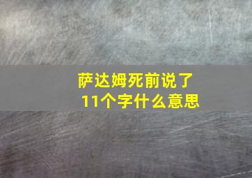 萨达姆死前说了11个字什么意思