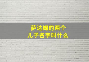 萨达姆的两个儿子名字叫什么