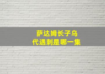 萨达姆长子乌代遇刺是哪一集