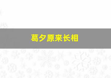 葛夕原来长相