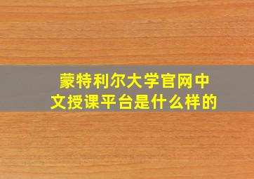 蒙特利尔大学官网中文授课平台是什么样的