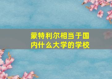 蒙特利尔相当于国内什么大学的学校