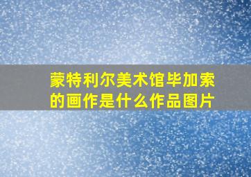 蒙特利尔美术馆毕加索的画作是什么作品图片