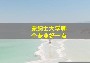 蒙纳士大学哪个专业好一点