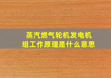 蒸汽燃气轮机发电机组工作原理是什么意思