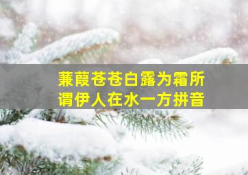 蒹葭苍苍白露为霜所谓伊人在水一方拼音