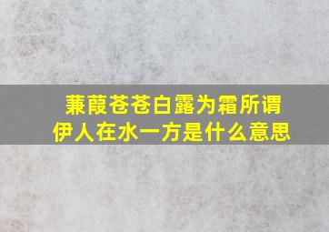 蒹葭苍苍白露为霜所谓伊人在水一方是什么意思